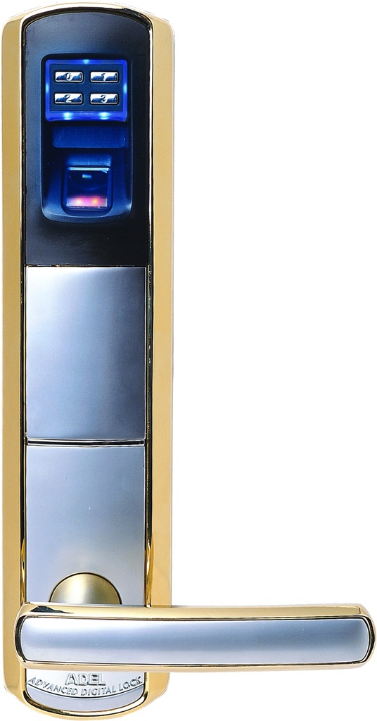 TeknoMaster Dorado 